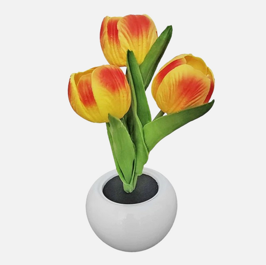 LED Tulpenlicht